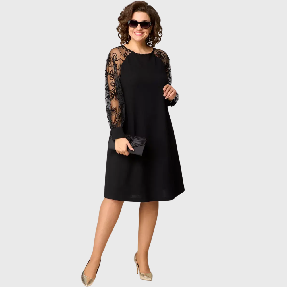 Long Sleeve Lace Dress for Women